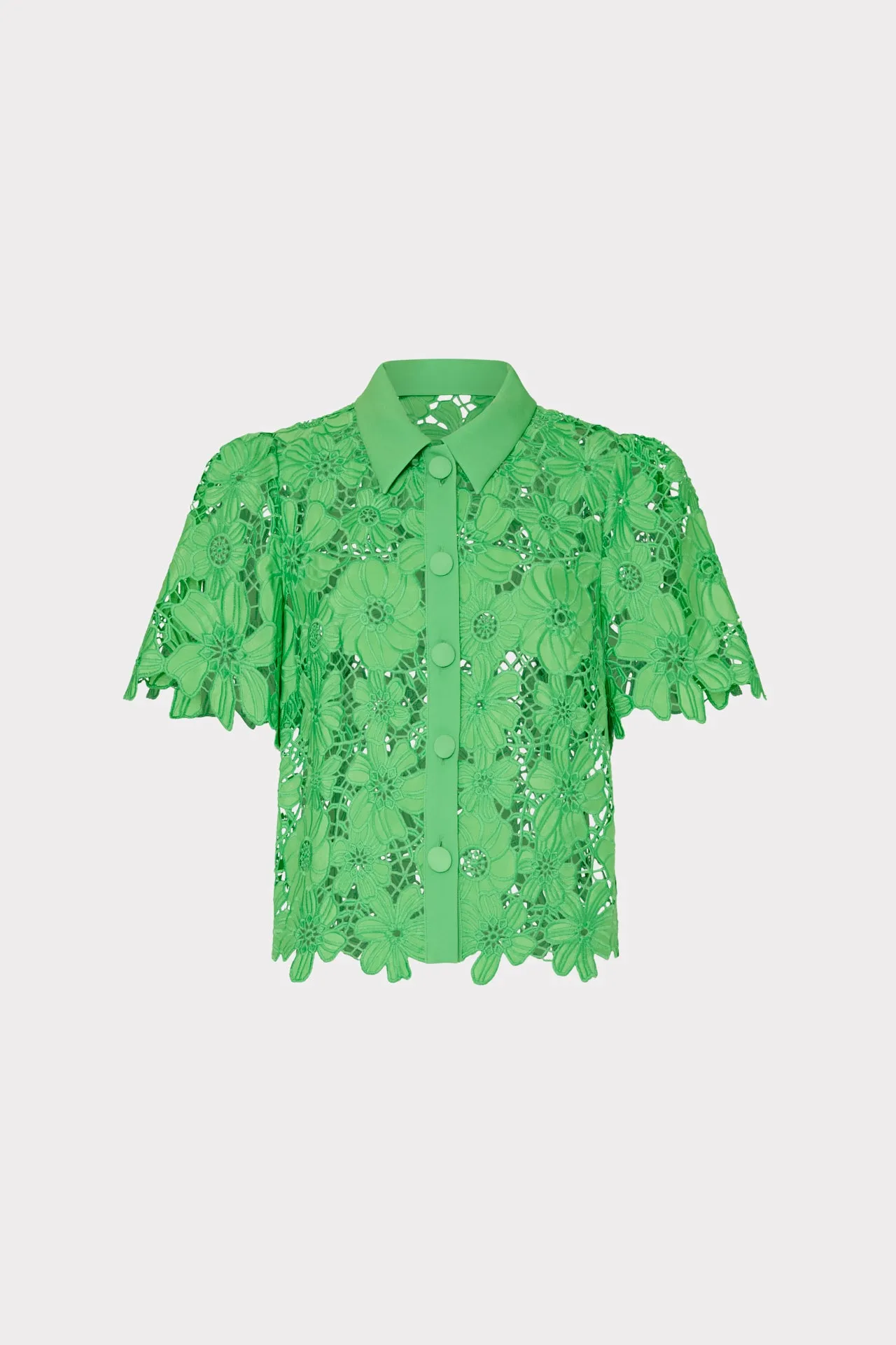 Addison Roja Lace Top DoubleLayered Collar