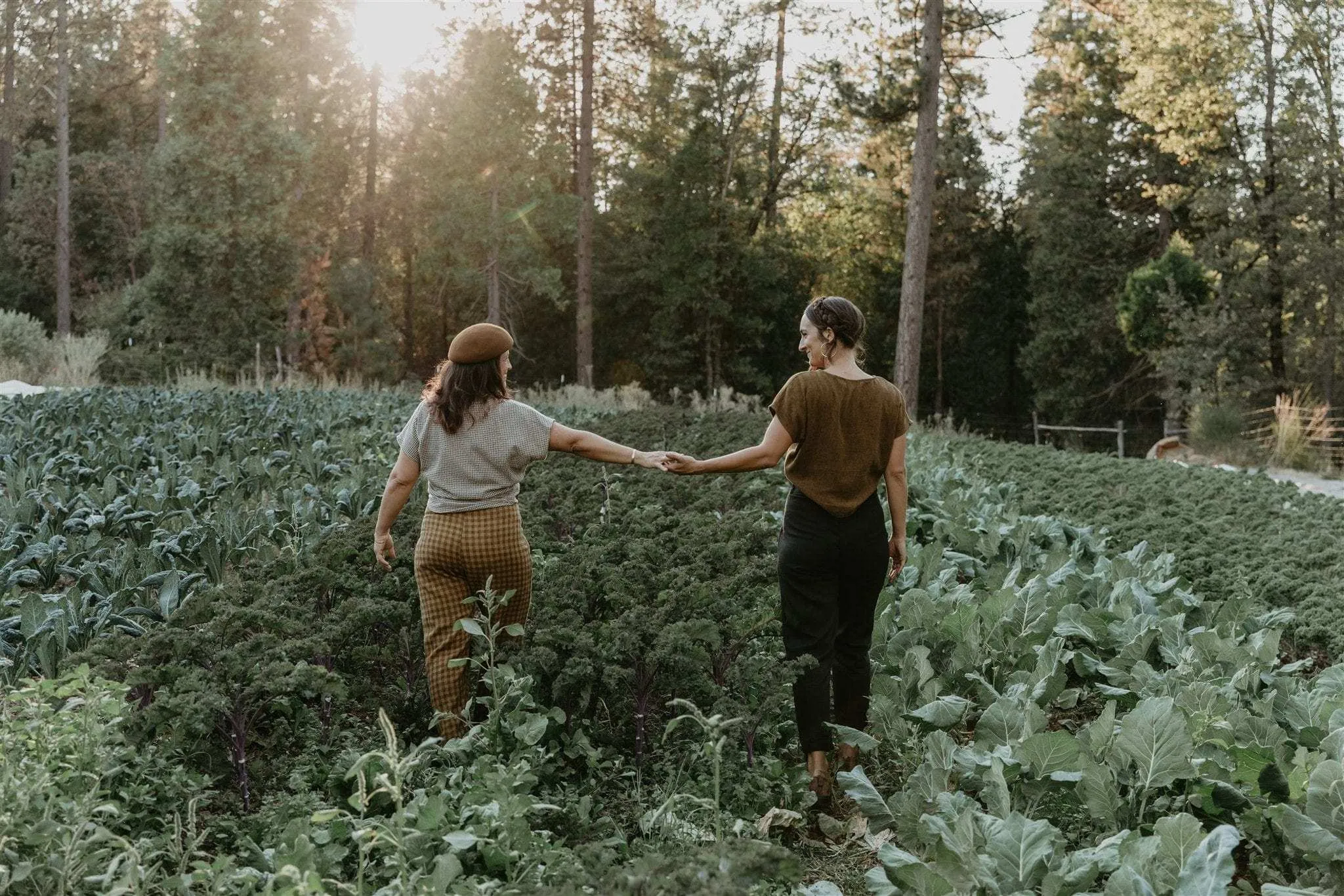 FlexibleCuff Ribbed Neckline Dolman Top in Golden Checker