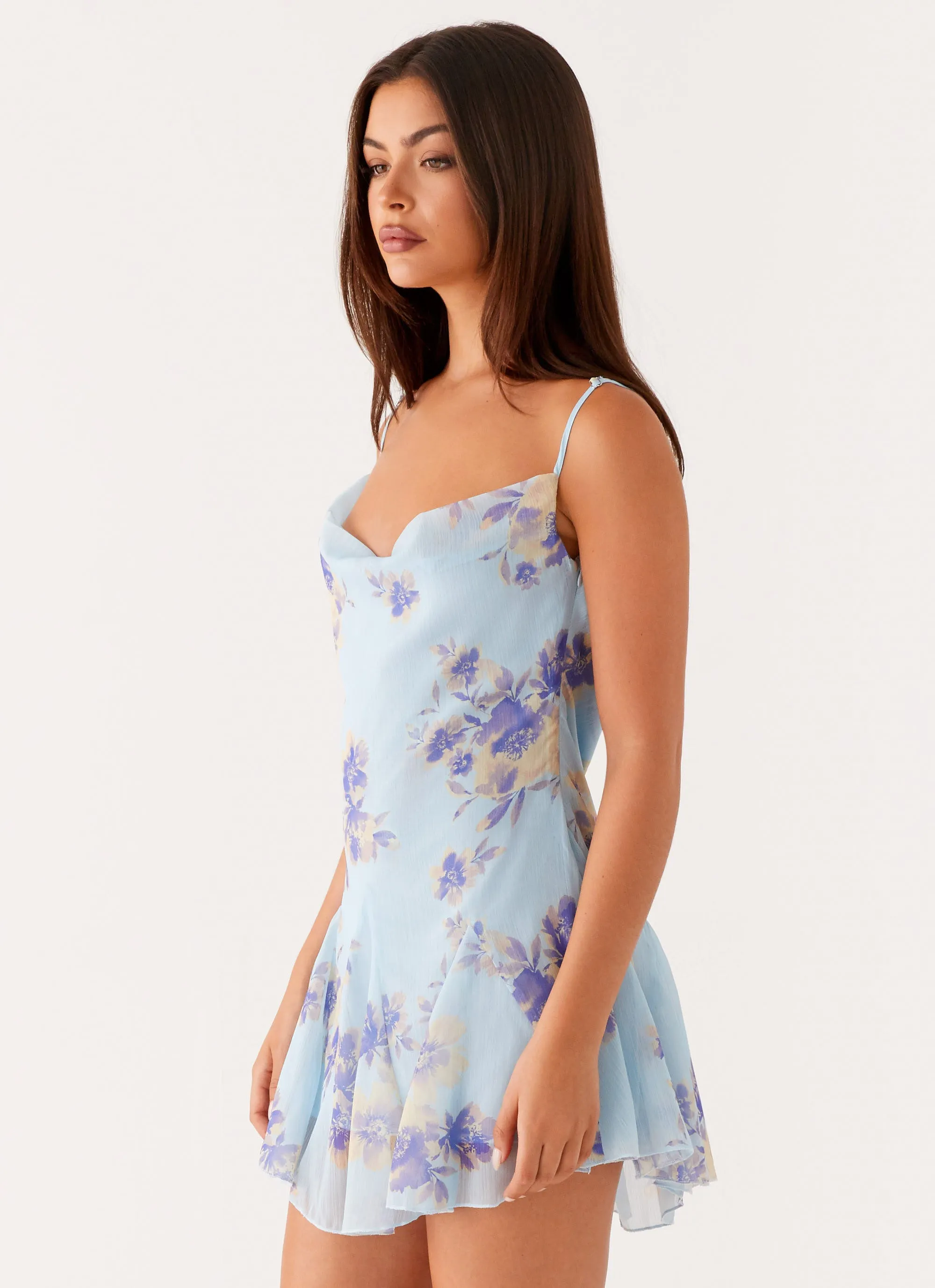 Lined interior Austen Mini Dress - Print