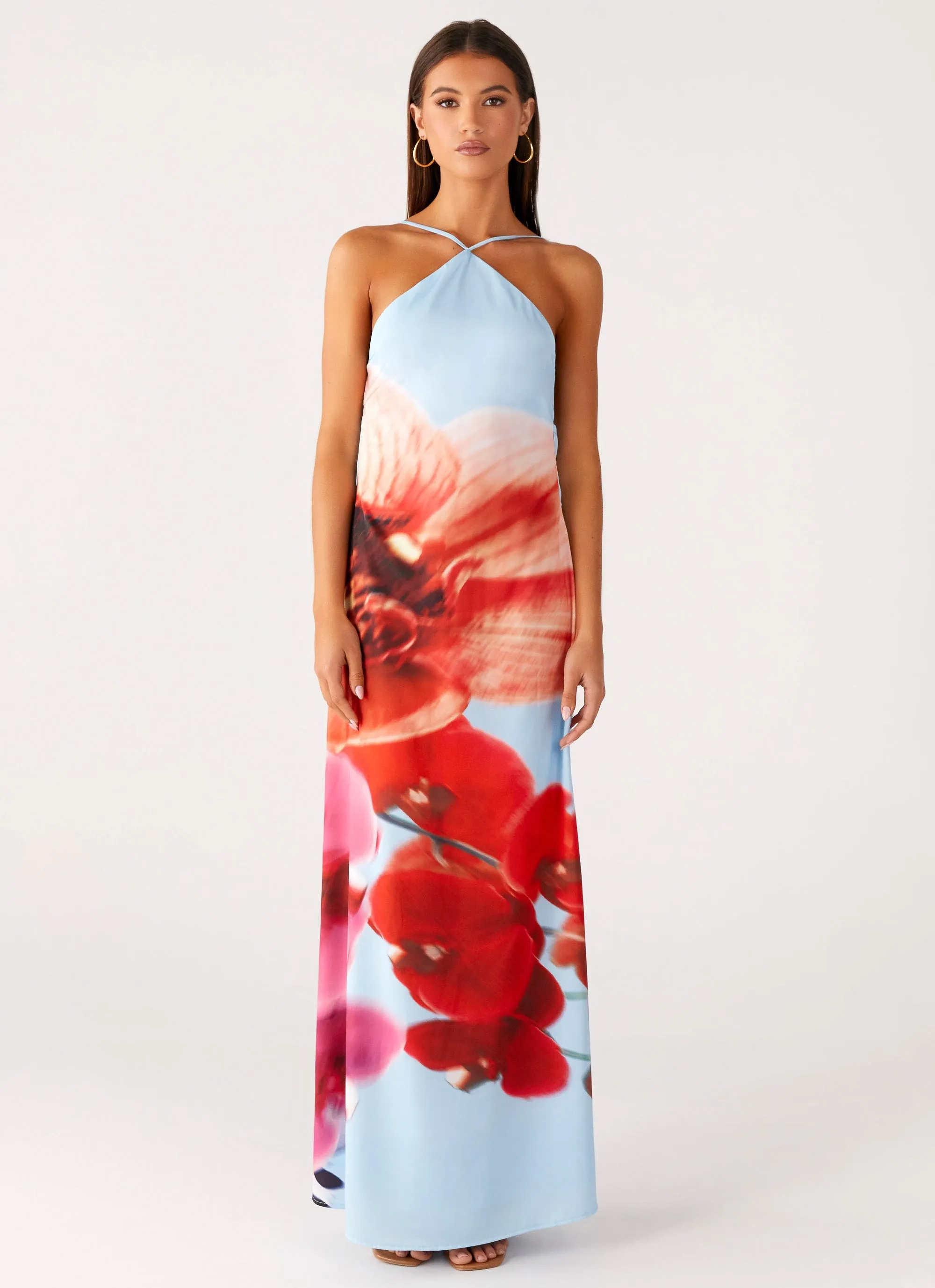 Evening Wear Chloe Maxi Dress - Turquoise Bloom