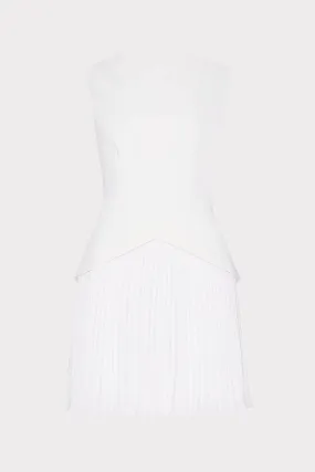 Haddy Pleated Mini Dress Stylish Feel