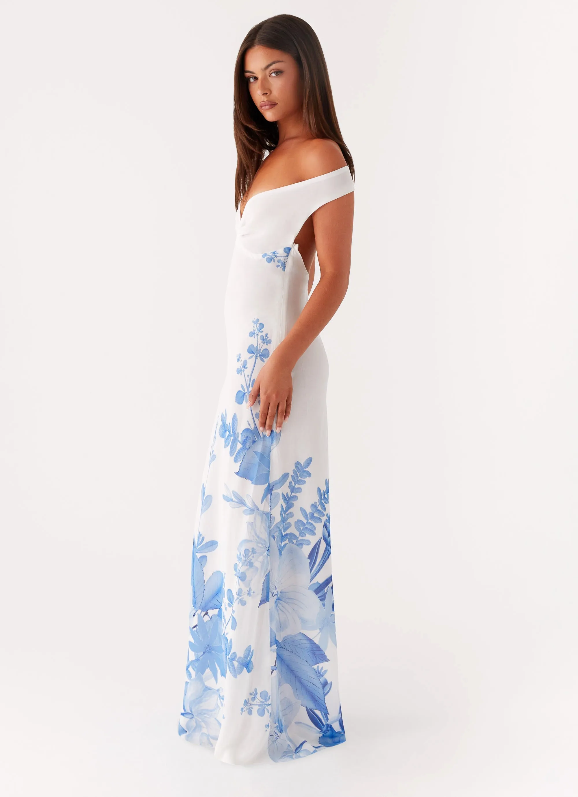Snag-Resistant Krissa Maxi Dress - Blue Floral
