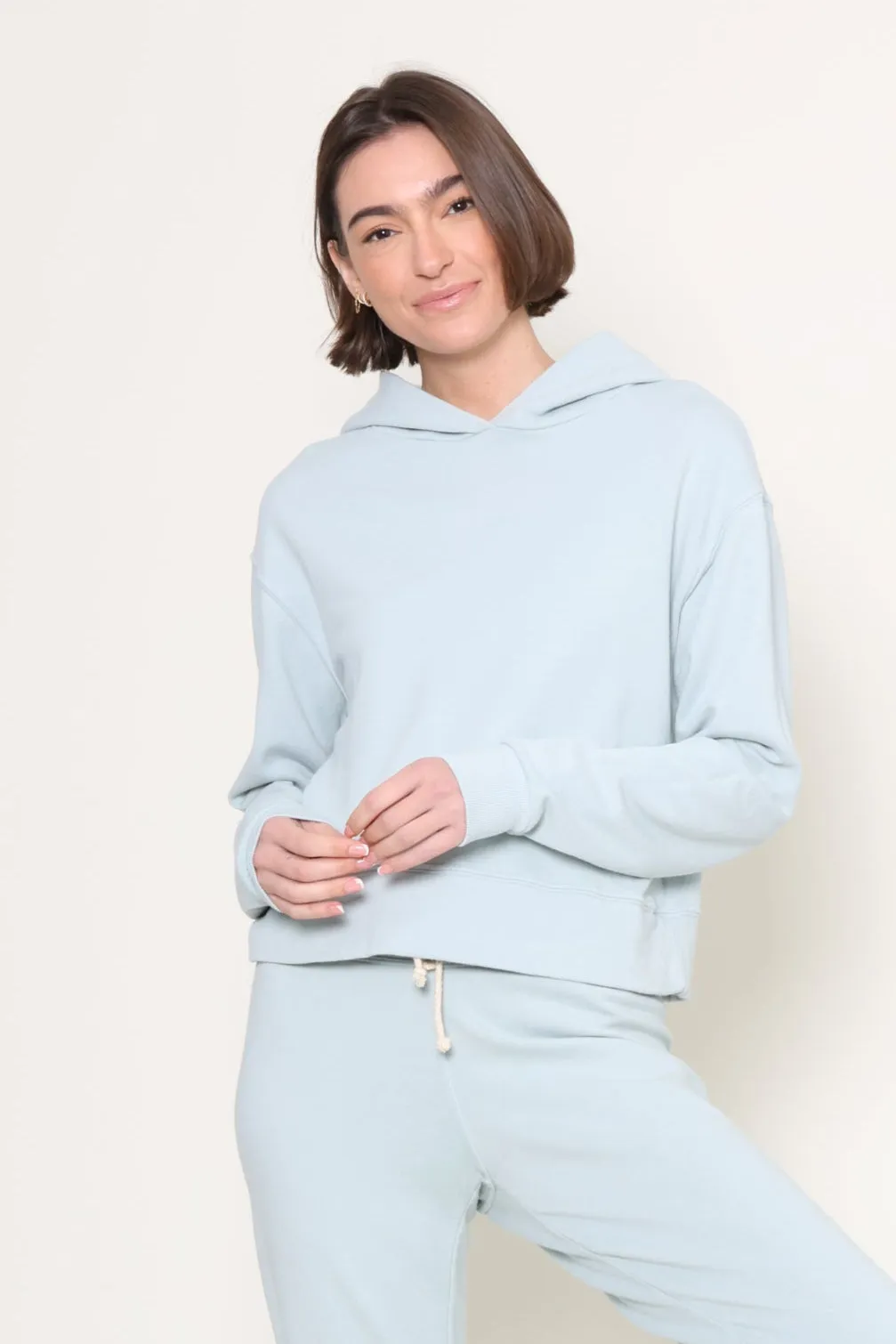 Iggy French Terry Hoodie Organic Cotton Blend