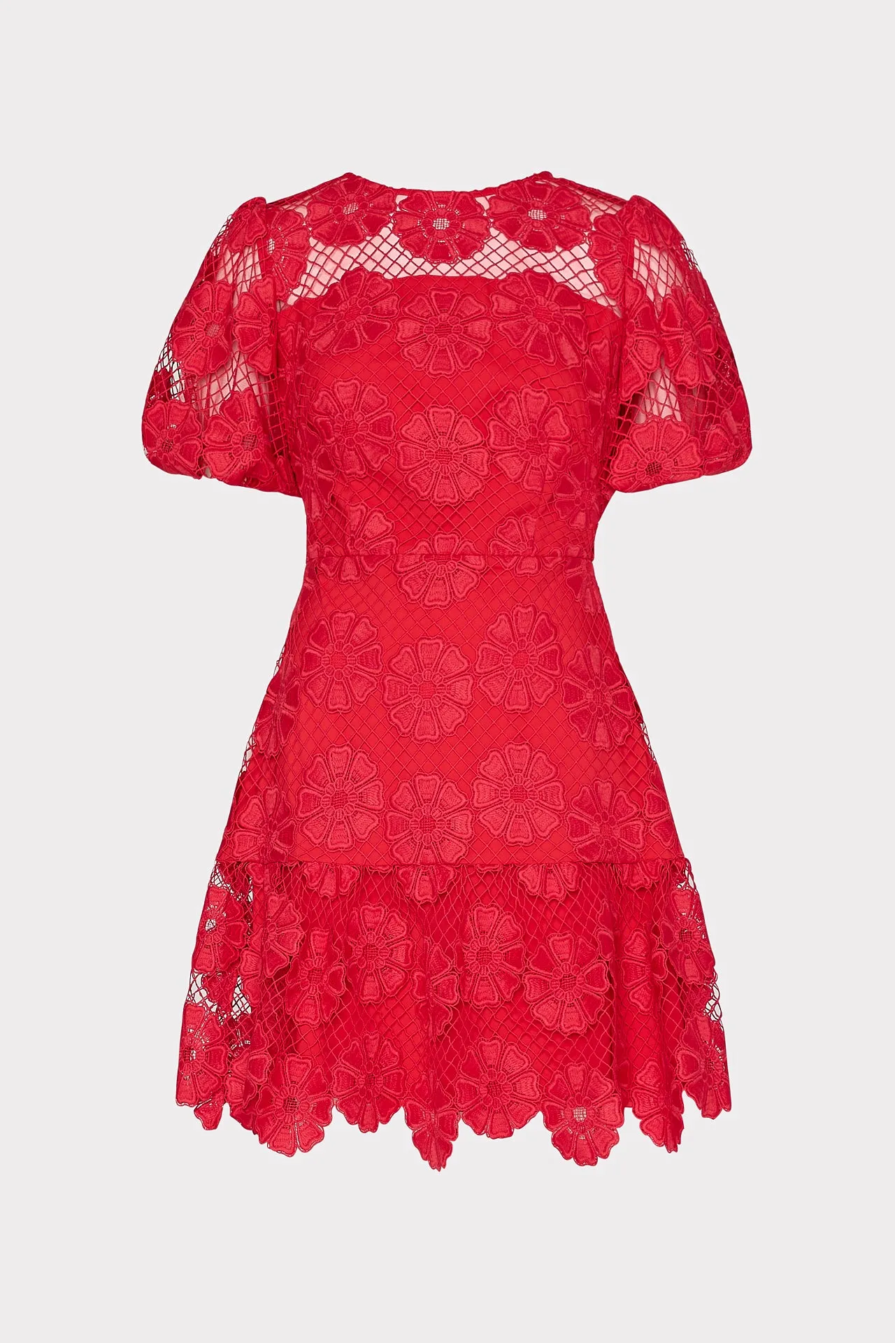 Tailored Mood Yasmin Daisy Lace Dress