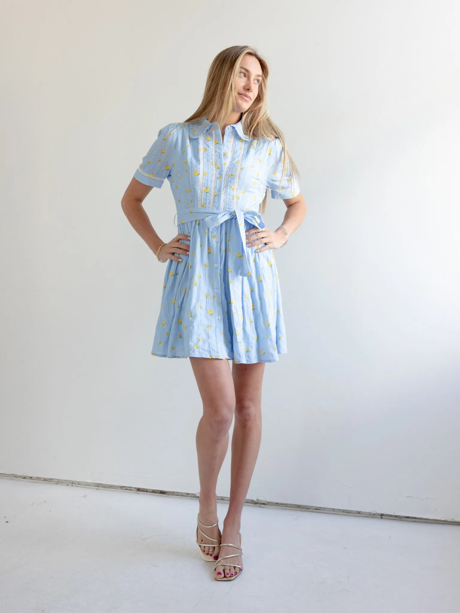Madi Collared Mini Dress Summer Air