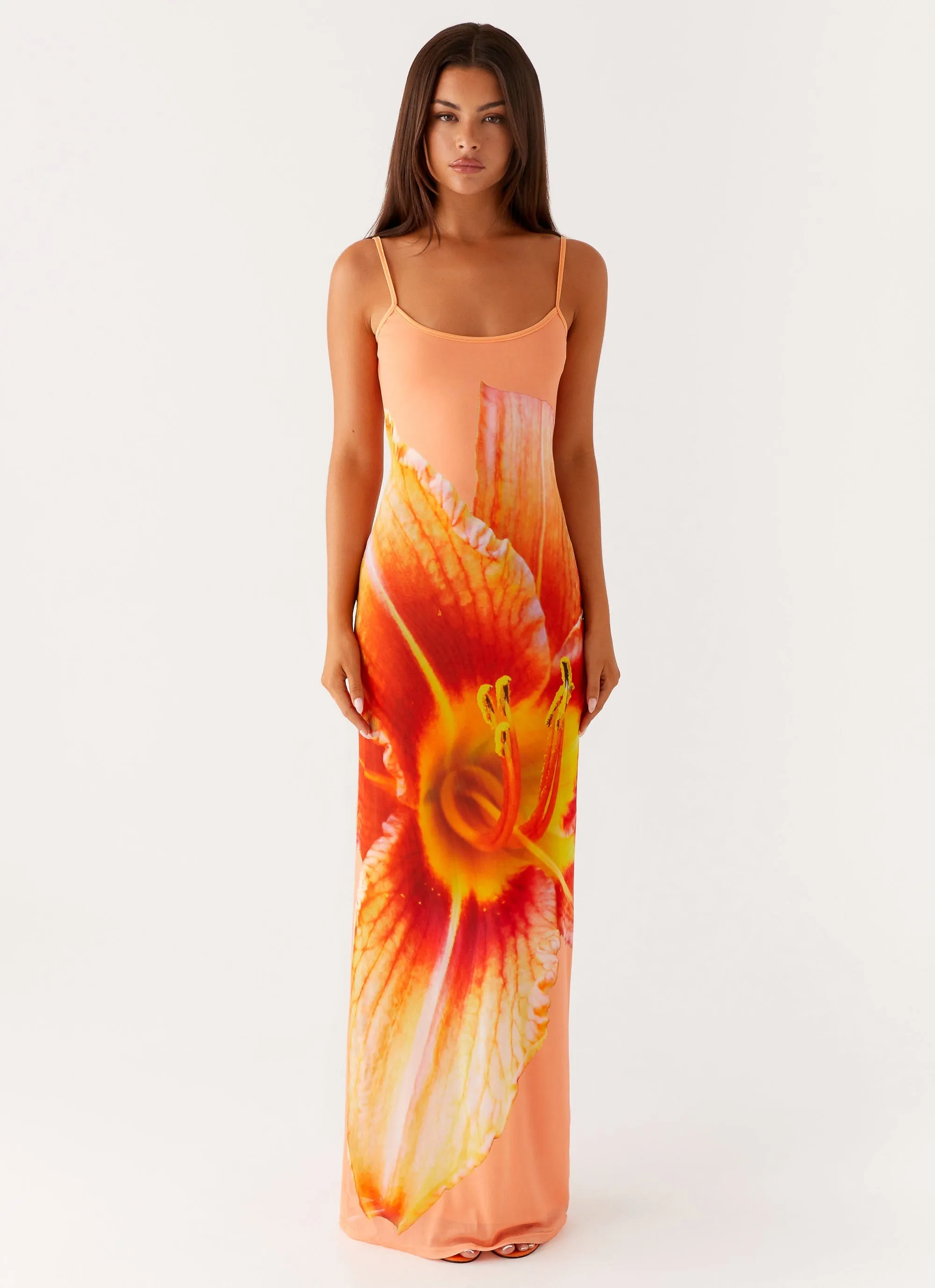 Edge Detail Bad News Mesh Maxi Dress - Orange Floral