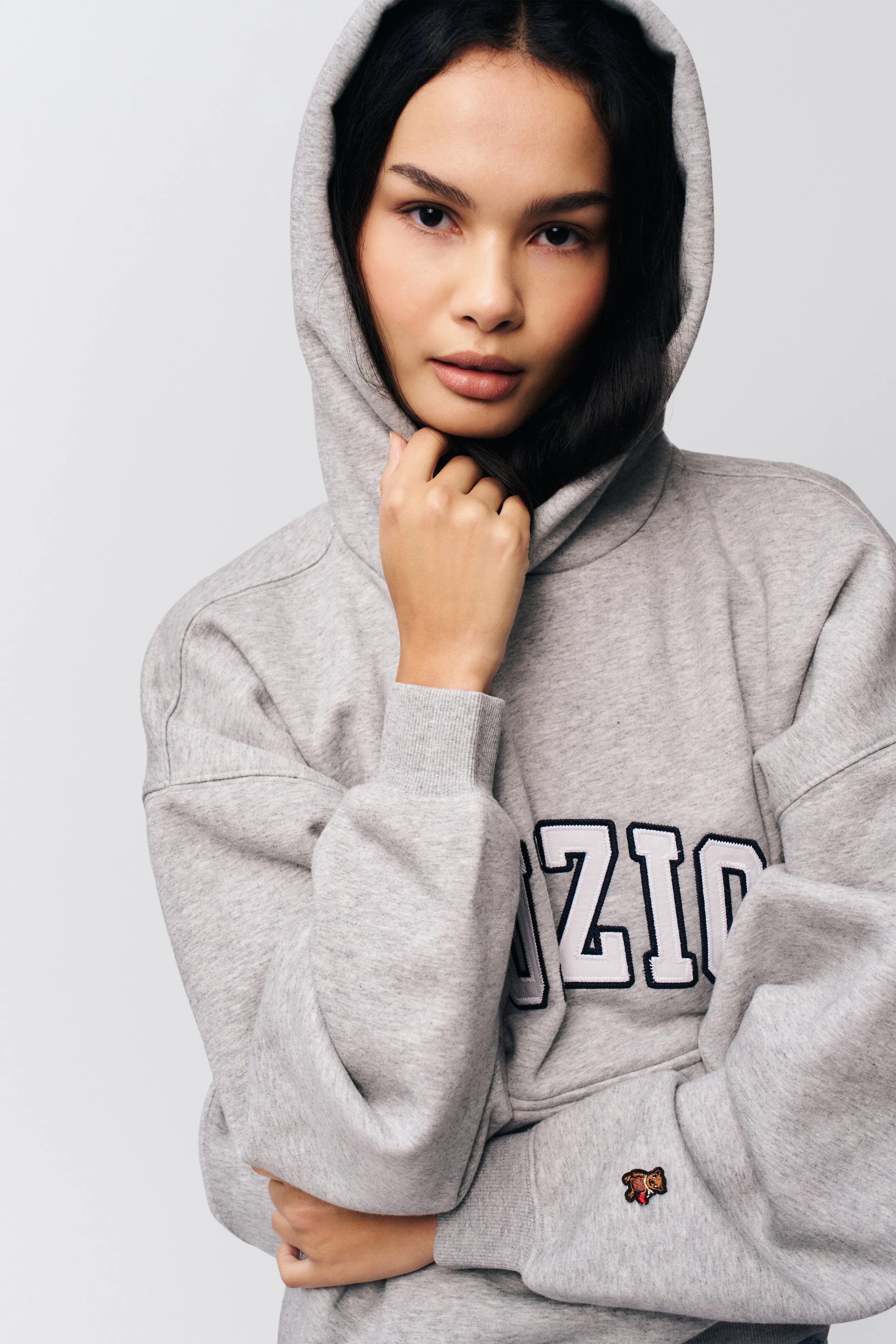 Guizio Pullover Hoodie AntiSnag Yarn Technology WaffleKnit Texture