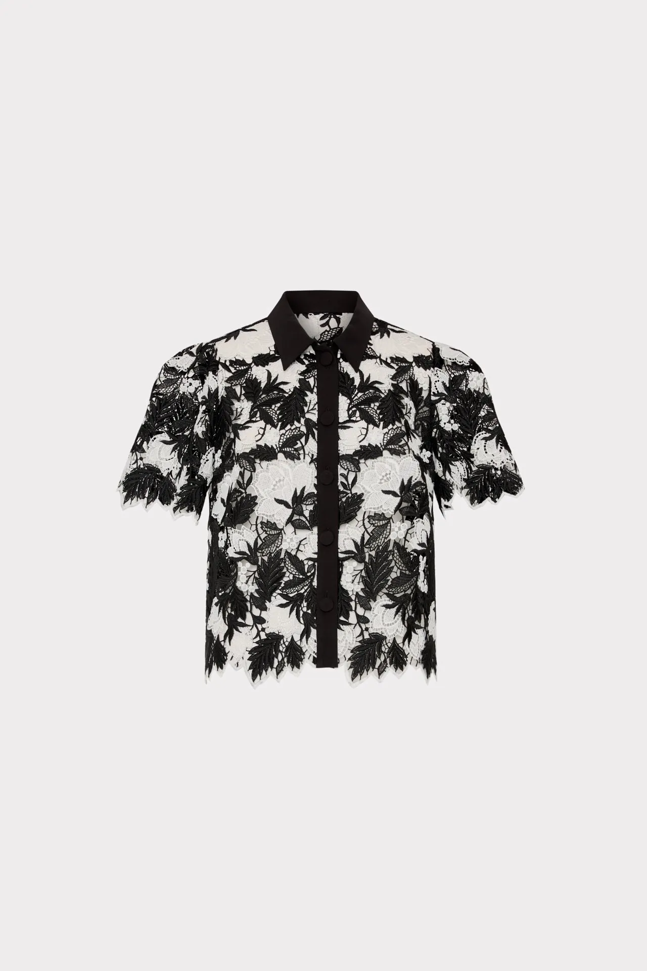 Addison Two Tone Lace Top Everyday Comfort Comfy Fit