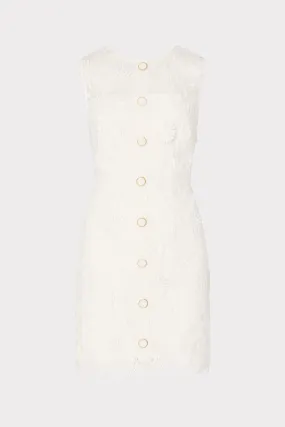 Judy Lace Mini Dress Classy Look Feminine flowing piece