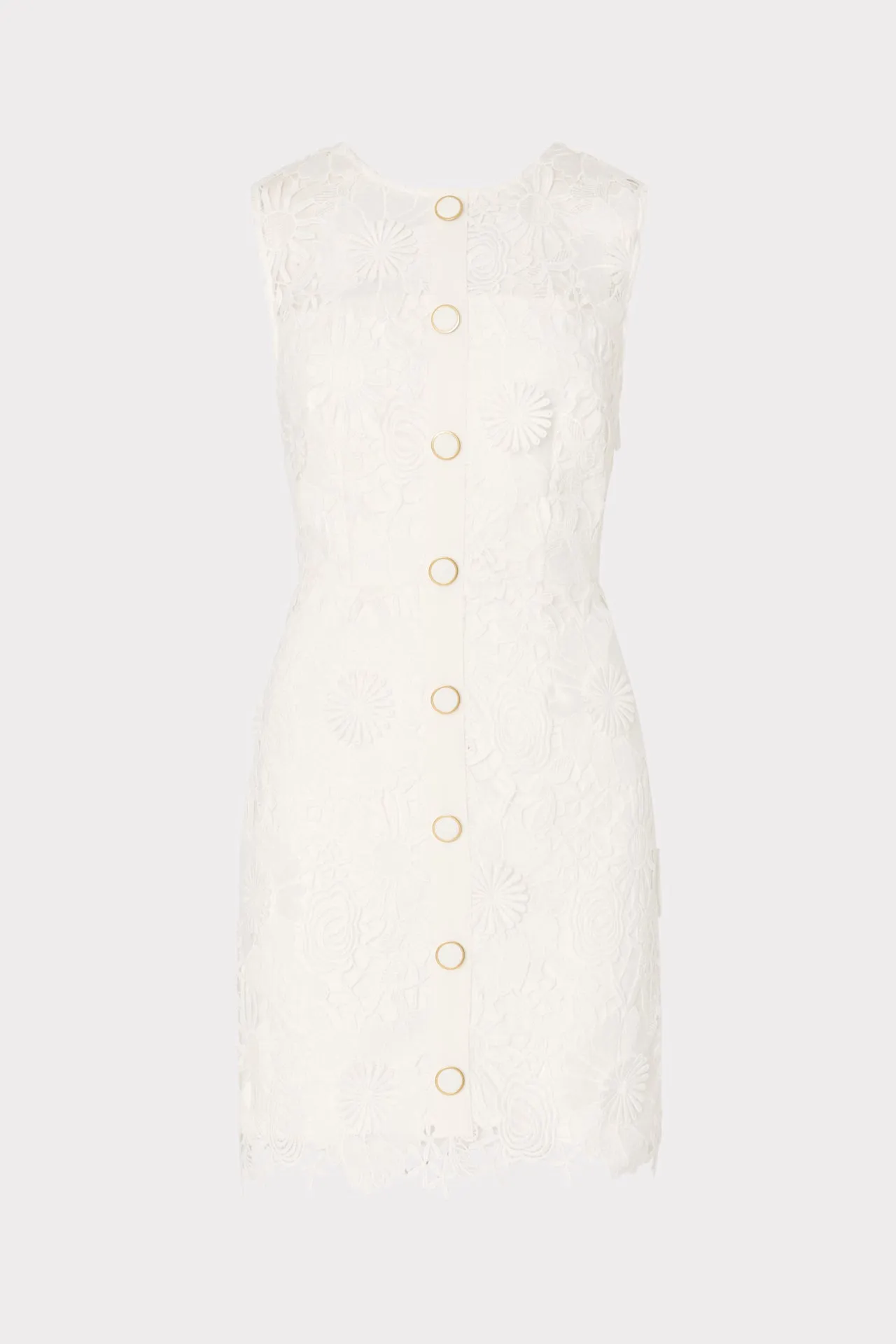 Mesh Soft Judy Lace Mini Dress