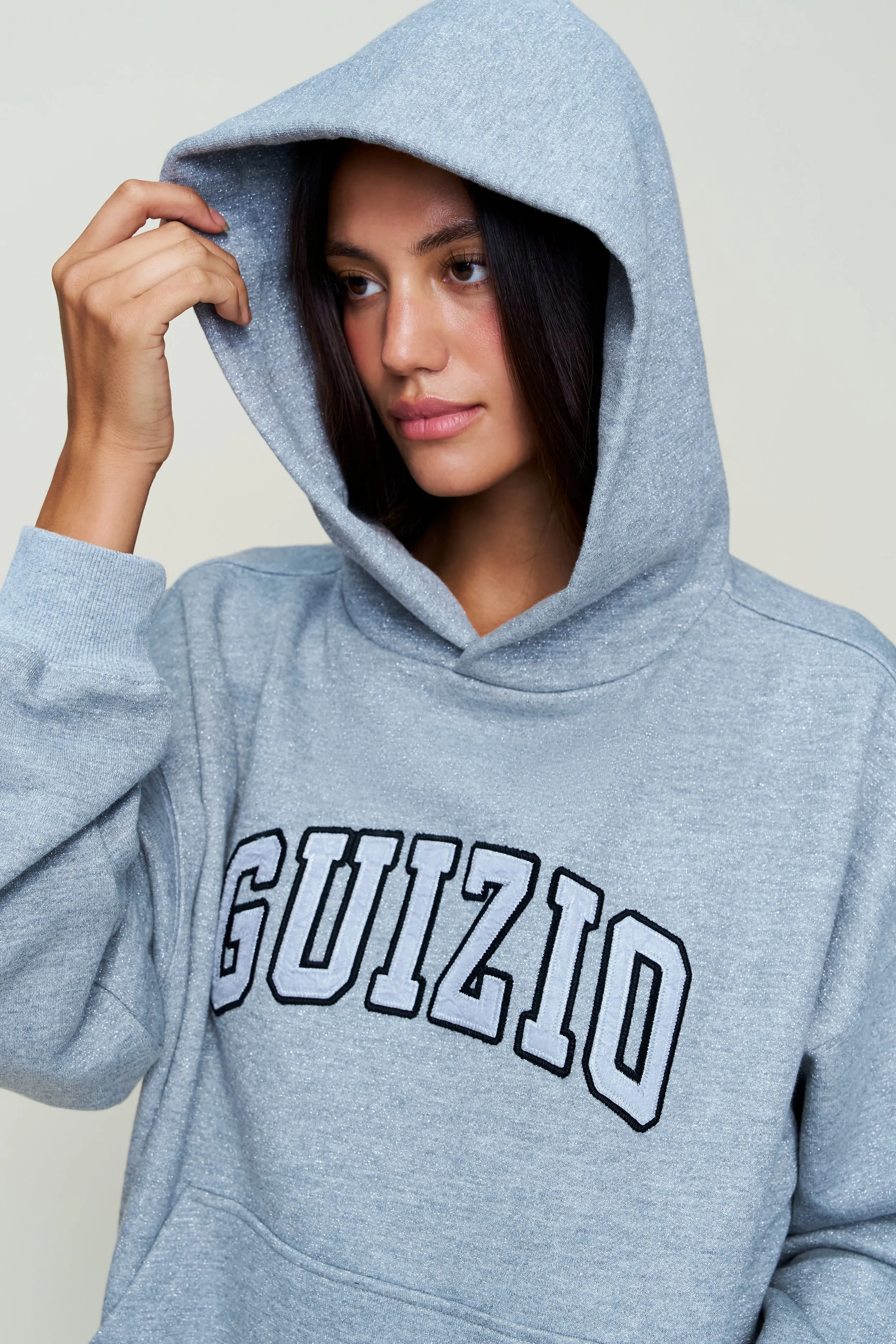 Multipanel Construction Soft Texture Guizio Sparkle Pullover Hoodie