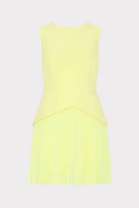 Haddy Pleated Mini Dress Trendy Layer