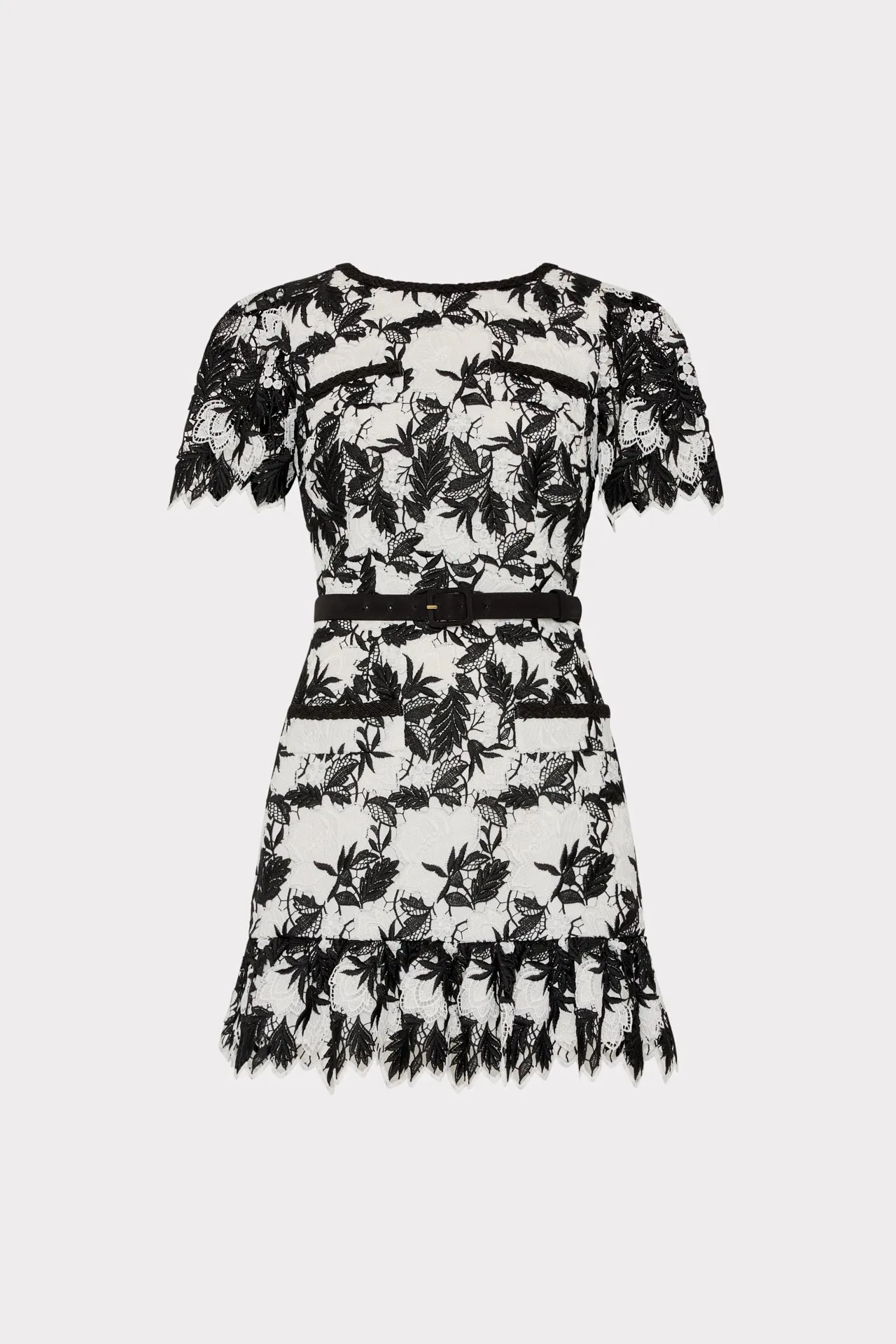 Texture Feel Sheer Look Paola Two Tone Lace Mini Dress