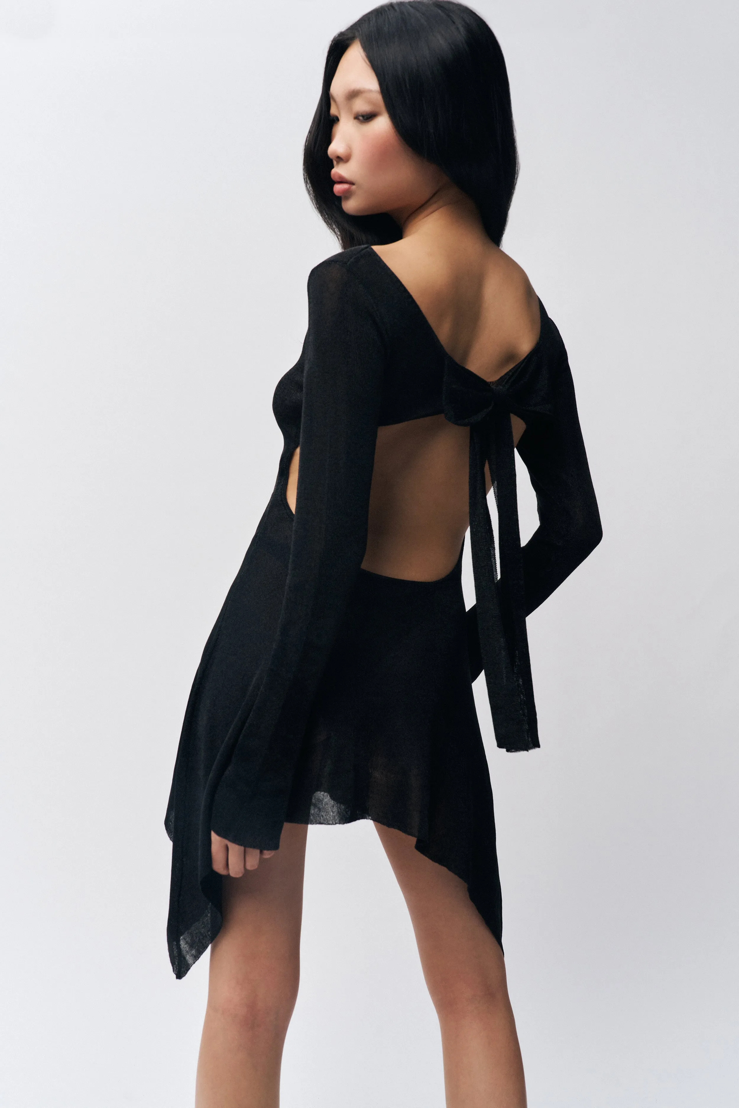 Rose Dress Dreamy Silhouette