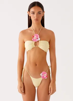 Carmira Bikini Bottoms - Yellow Luxury Swim