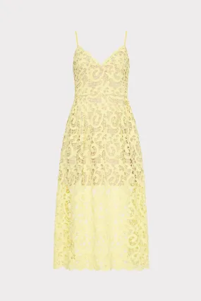 Elle Lace Midi Dress StretchableKnit Evening Glow