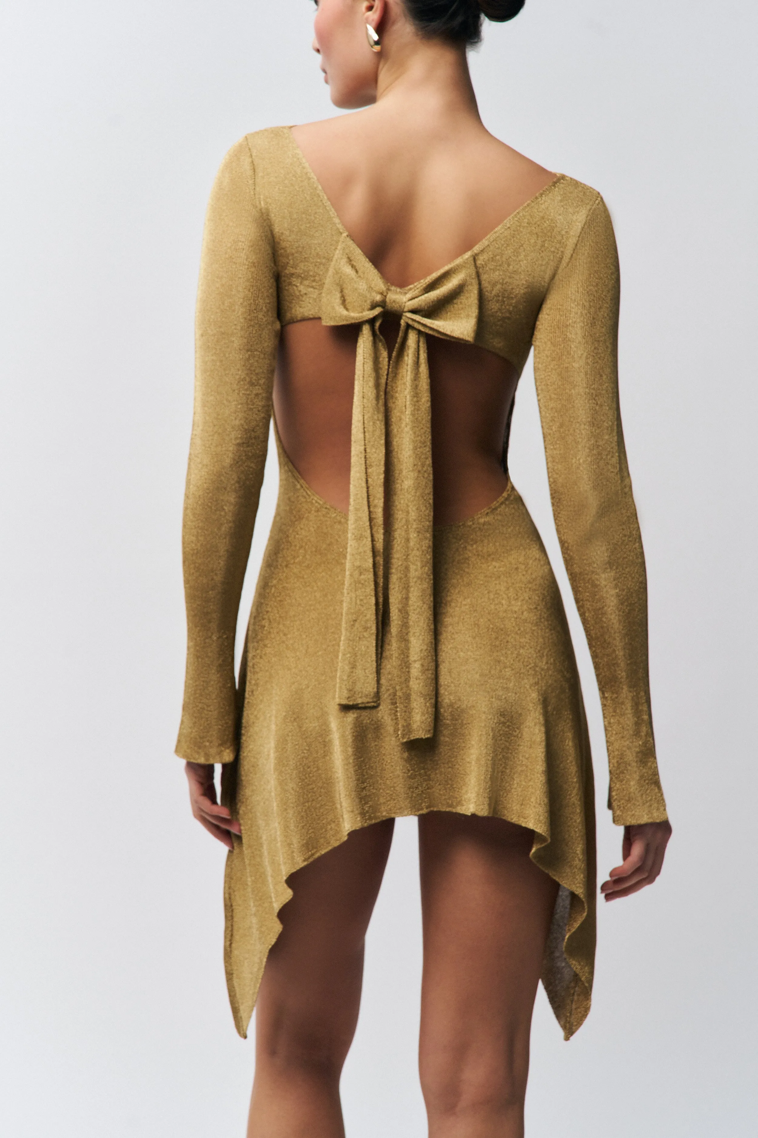 Rose Dress Glam Touch