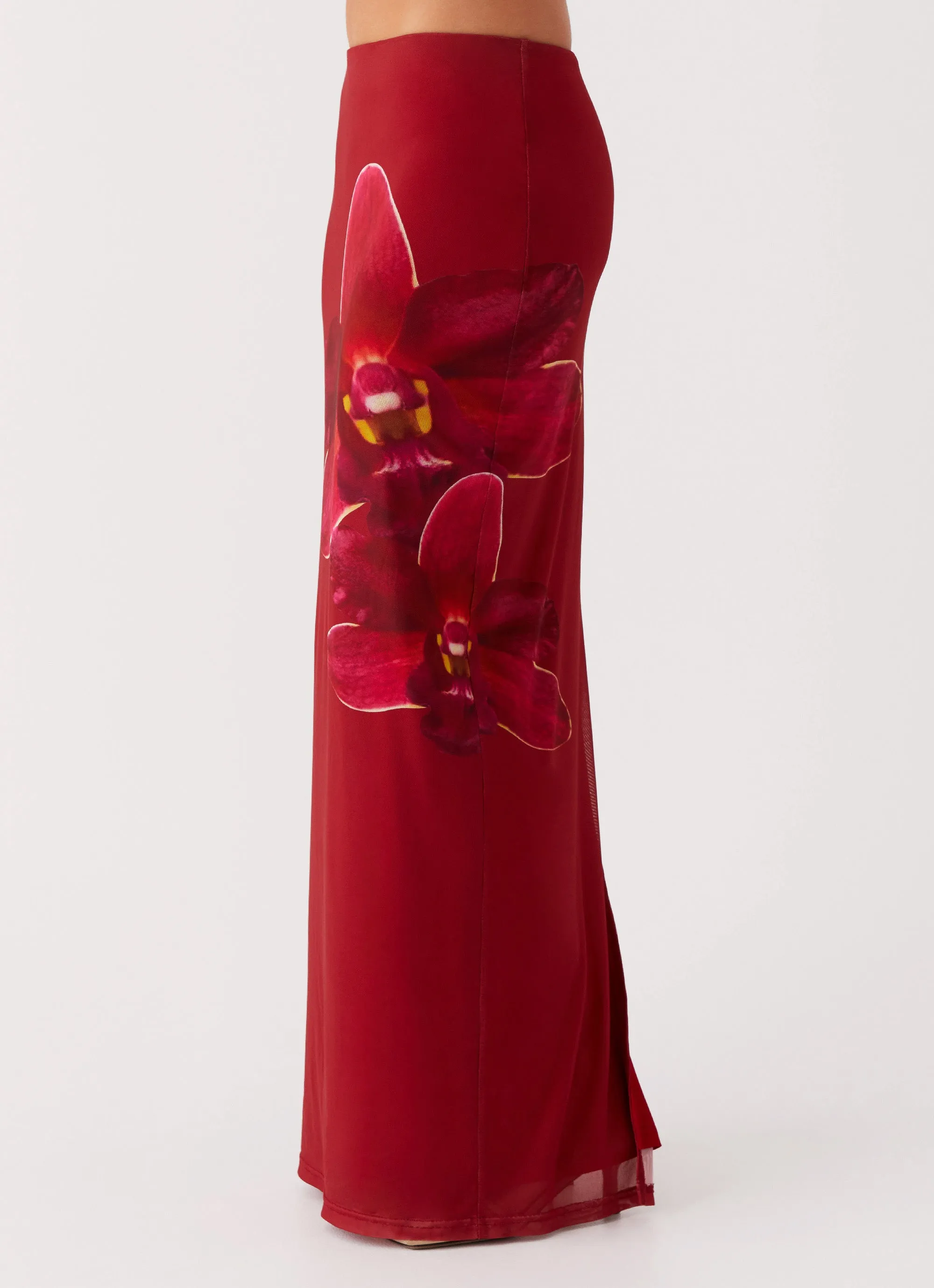 Velvet Finish Waiting For Dawn Mesh Maxi Skirt - Rosa