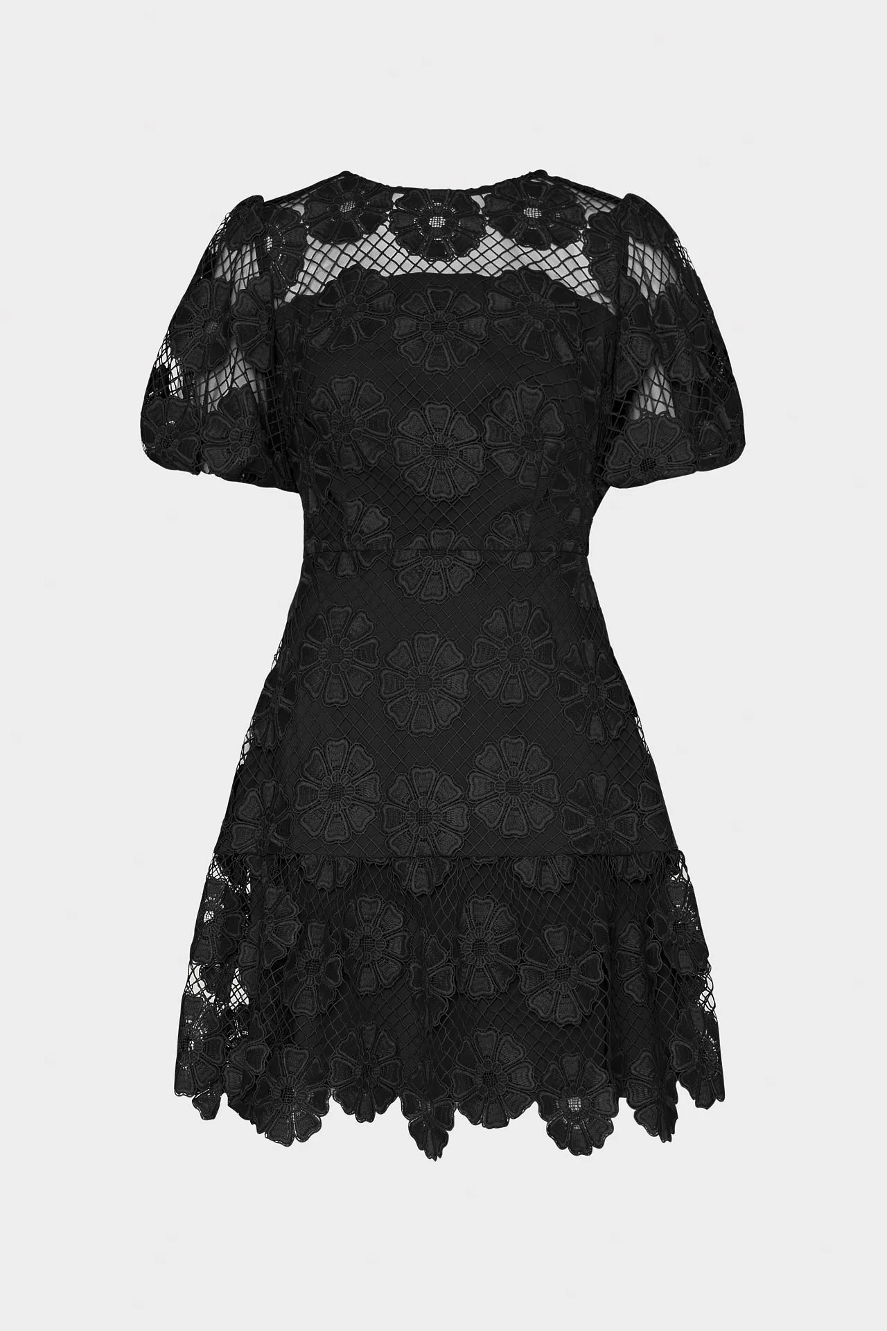 Coffee Break Fitted Neat Yasmin Daisy Lace Dress